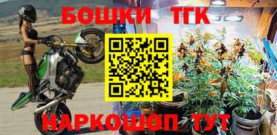 эйфоретик Дубна